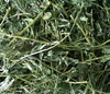 Alfalfa Hay